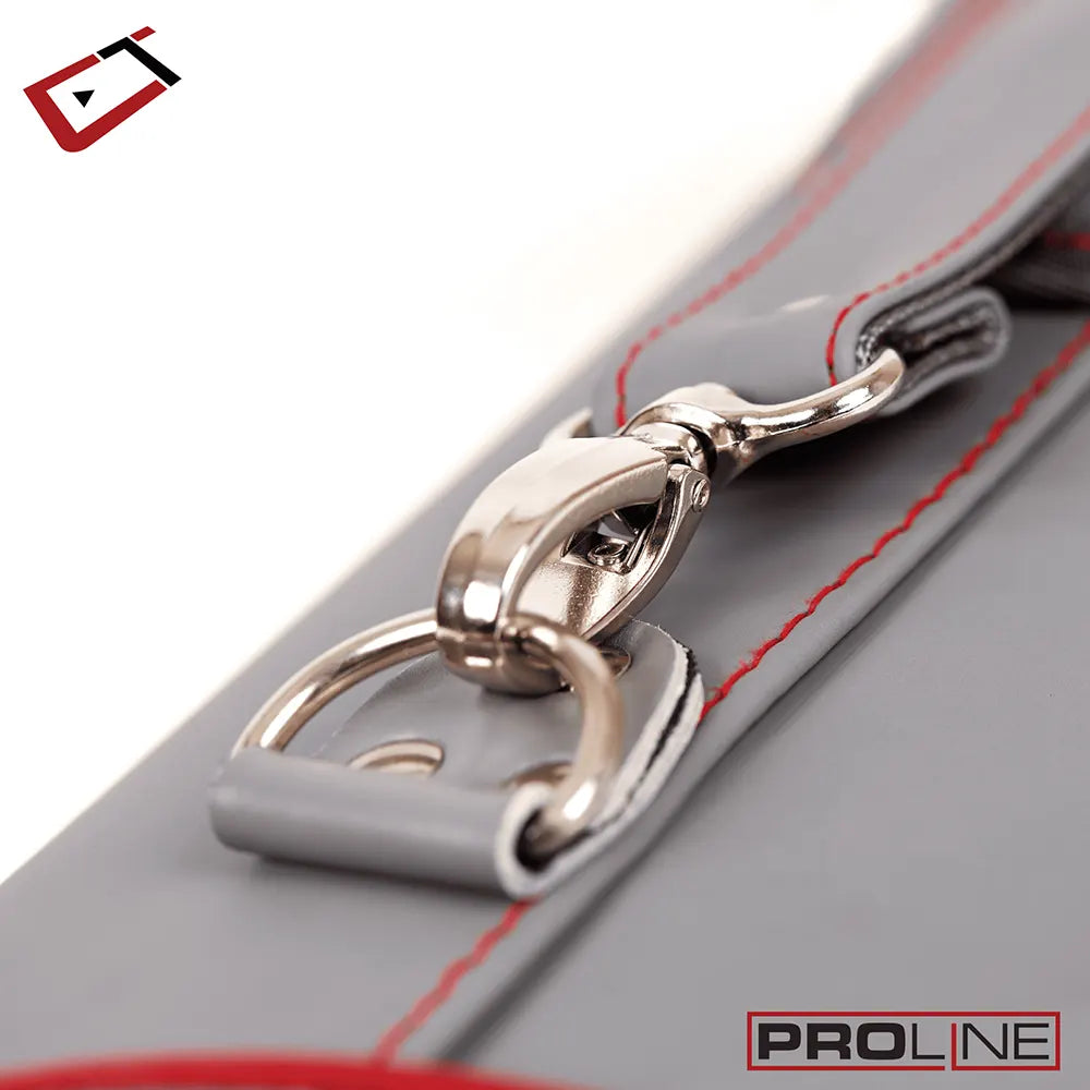 Pro Line Gray 2X4 Hard Case